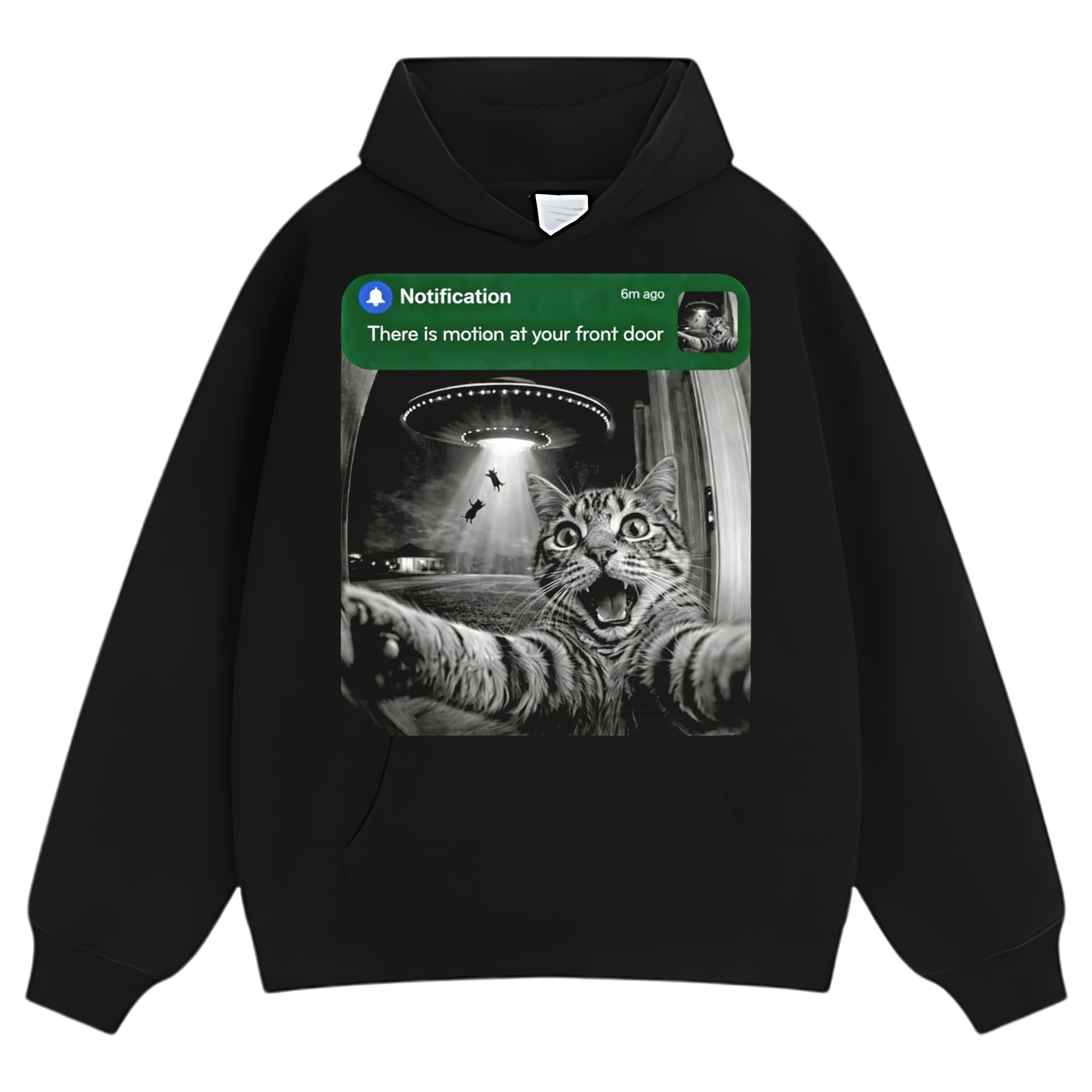 FRONT DOOR RACCOON CAT SURPRISE VISITOR TEE & LS & HOODIE