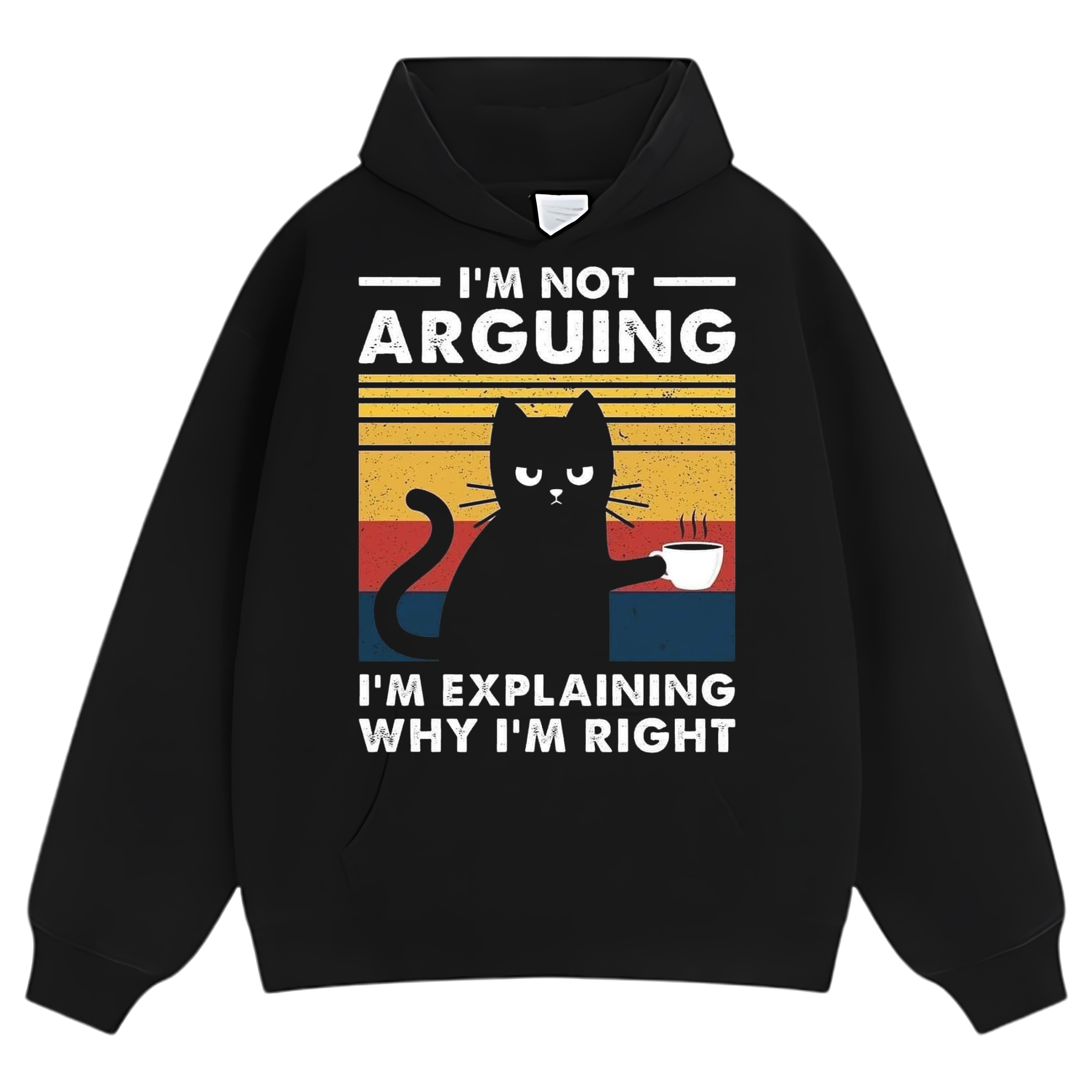 I'M NOT ARGUING I'M EXPLAINING WHY I'M RIGHT TEE & LS & HOODIE