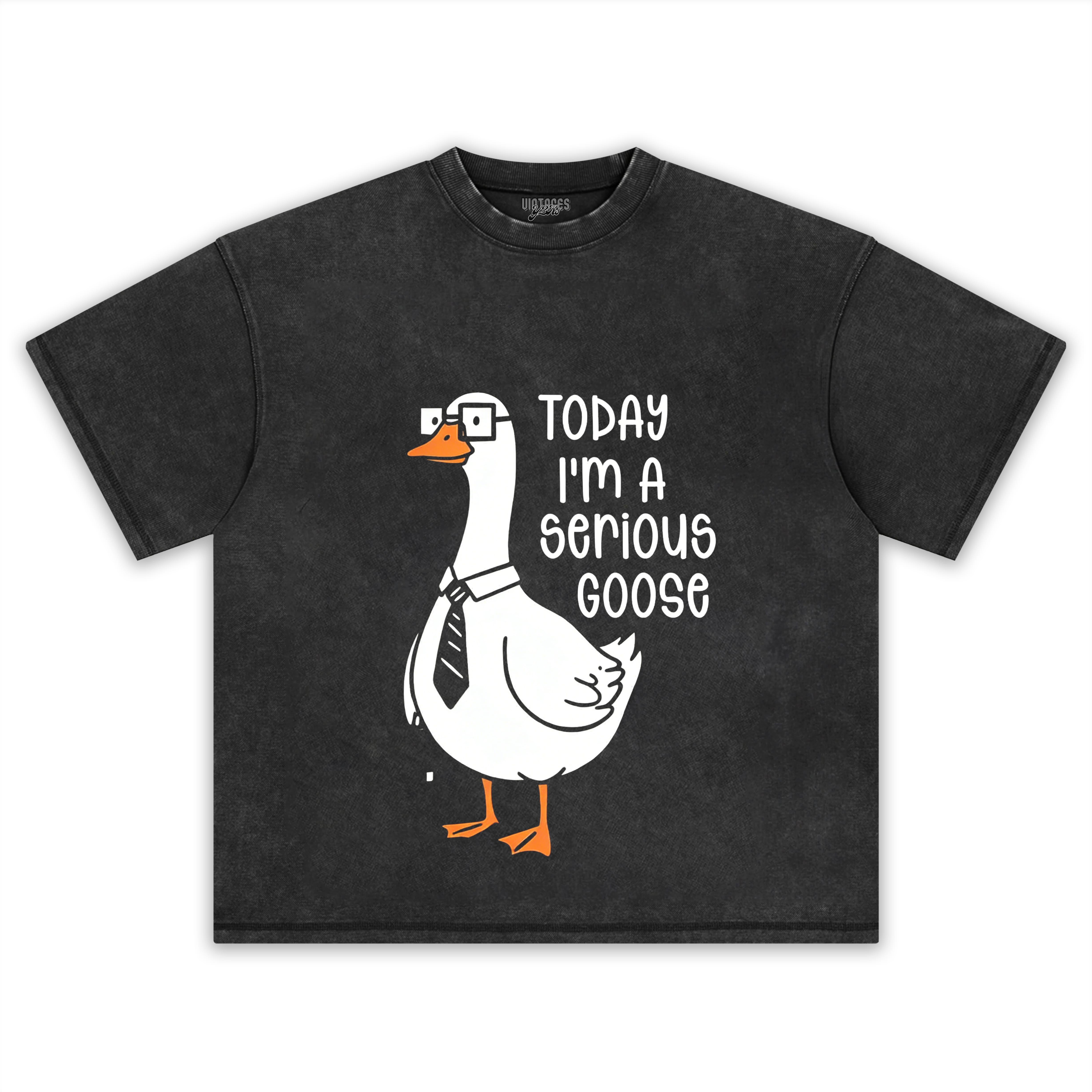 TODAY I'M A SERIOUS GOOSE TEE & LS & HOODIE